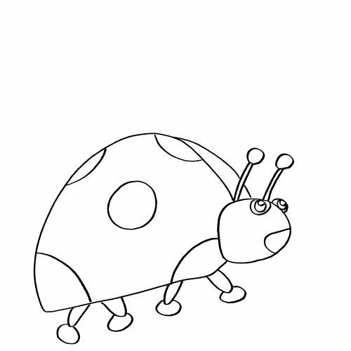 My Image 14
